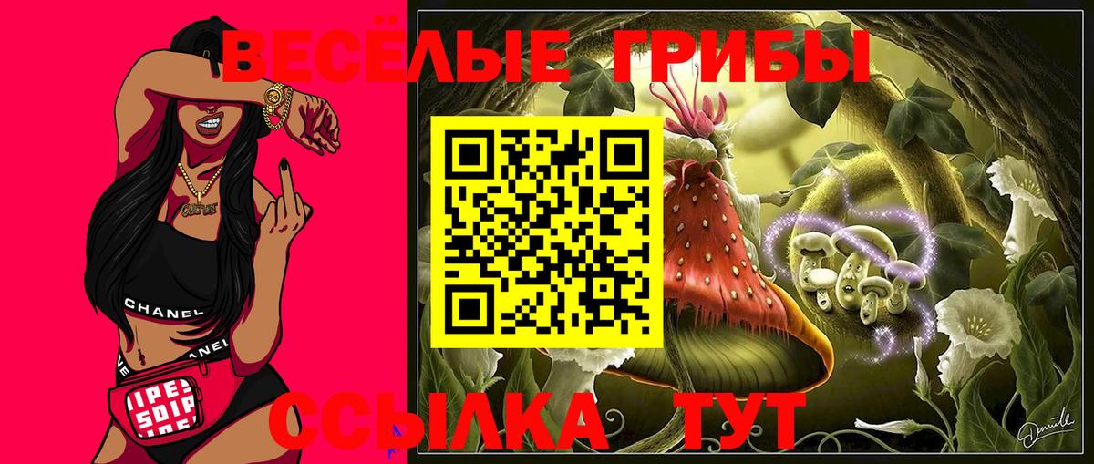 Галлюциногенные грибы Psilocybe  Вход с VPN  Екатеринбург 